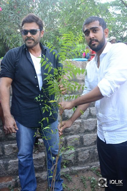 -Venkatesh-At-Haritha-Haaram-Event